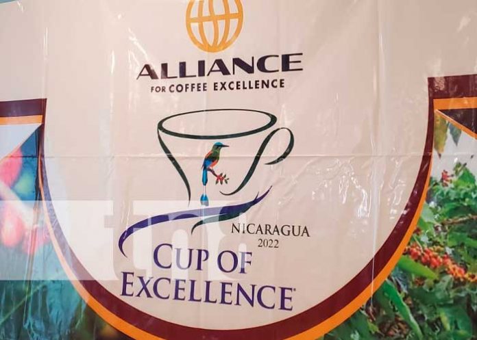 cafe-nicaragua-3 Organización de catación de café en Nicaragua