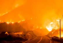 Alarmante incendio forestal en California ¡está arrasando con todo!