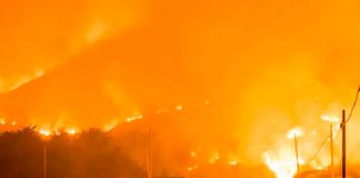 Alarmante incendio forestal en California ¡está arrasando con todo!