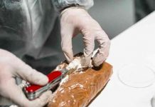 Encuentran carfentanilo en droga que mató a 24 personas en Argentina Encuentran carfentanilo en droga que mató a 24 personas en Argentina