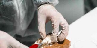Encuentran carfentanilo en droga que mató a 24 personas en Argentina