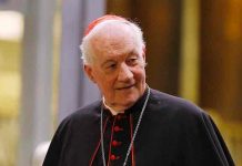 Cardenal condena «crímenes de abusos sexuales encubiertos por la Iglesia» Cardenal condena "crímenes de abusos sexuales encubiertos por la Iglesia"