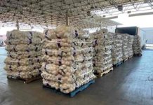 Cae contrabandista con 600 kilos de metanfetamina camuflada en cebollas Cae contrabandista con 600 kilos de metanfetamina camuflada en cebollas
