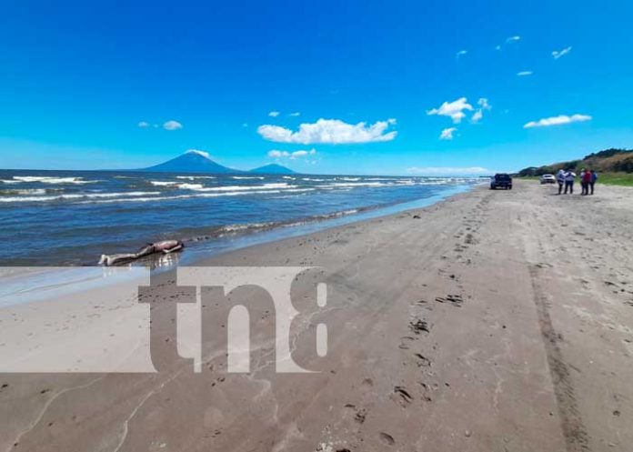 Hallazgo de cuerpo de pescador originario de Ometepe