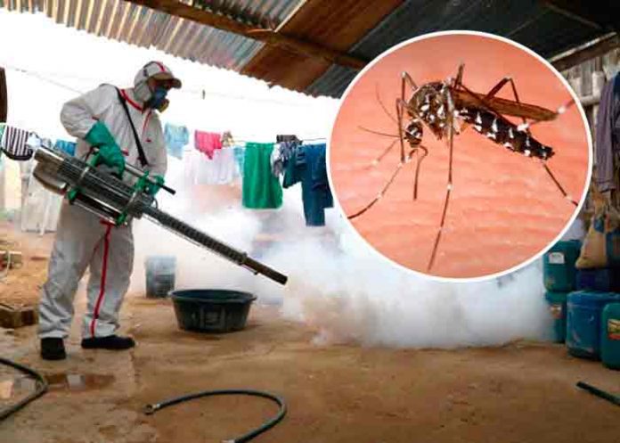 dengue-en-peru- Nuevo brote de dengue en Perú causa ocho muertes