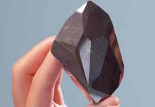 El mayor diamante negro natural del mundo, vendido por 4,3 MDD El mayor diamante negro natural del mundo, vendido por 4,3 MDD