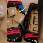 España desmantela red que simuló ataque de orcas para traficar droga droga en España