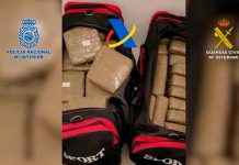 España desmantela red que simuló ataque de orcas para traficar droga droga en España