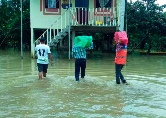 ecuador1 En Ecuador intensos aguaceros dejan afectaciones en área agrícola
