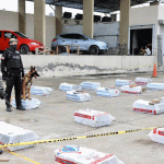 Incautan en Ecuador cerca de 7 toneladas de droga con destino a Bélgica Incautan en Ecuador cerca de 7 toneladas de droga con destino a Bélgica