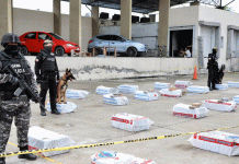 Incautan en Ecuador cerca de 7 toneladas de droga con destino a Bélgica Incautan en Ecuador cerca de 7 toneladas de droga con destino a Bélgica