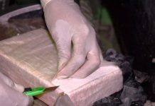 Al menos 45 personas detenidas por tráfico de cocaína a países europeos Al menos 45 personas detenidas por tráfico de cocaína a países europeos