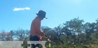 Diversificación de fincas en Carazo