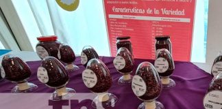 Exposición del INTA sobre variedad de frijoles en Nicaragua