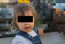 Niña de 2 años murió por comer galleta envenenada en Jalisco, México Niña de 2 años murió por comer galleta envenenada en Jalisco, México
