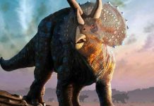 Estudio revela huellas de aves y dinosaurios en el norte de México Estudio revela huellas de aves y dinosaurios en el norte de México