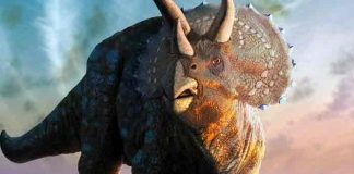 Estudio revela huellas de aves y dinosaurios en el norte de México