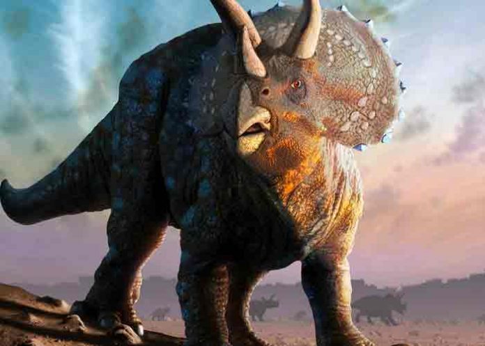 Estudio revela huellas de aves y dinosaurios en el norte de México