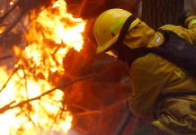 Bolivia ayuda a combatir incendios forestales en Argentina