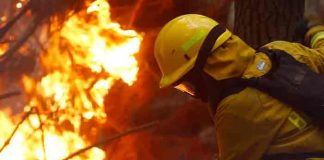 Bolivia ayuda a combatir incendios forestales en Argentina