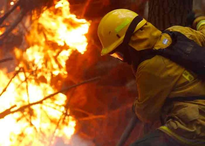 Bolivia ayuda a combatir incendios forestales en Argentina