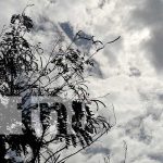INETER pronostica calor y fuertes vientos para los próximos días en Nicaragua Imagen de un día con presencia de nubes en Nicaragua