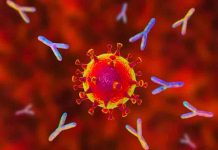 Estudio demuestra cómo comienza la infección por el virus SARS-COV-2 Estudio demuestra cómo comienza la infección por el virus SARS-COV-2