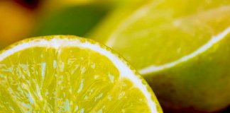 Beneficios del Limón