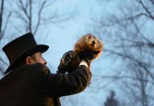 La marmota Phil pronostica más invierno en Estados Unidos