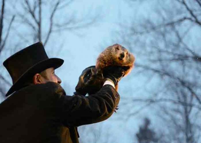 La marmota Phil pronostica más invierno en Estados Unidos