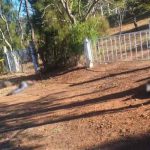 Sicarios asesinan a otros cuatro hombres en zona indígena de México Asesinar a cuatro hombres en el oeste de México