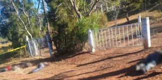 Asesinar a cuatro hombres en el oeste de México