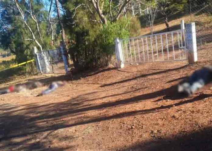 Asesinar a cuatro hombres en el oeste de México