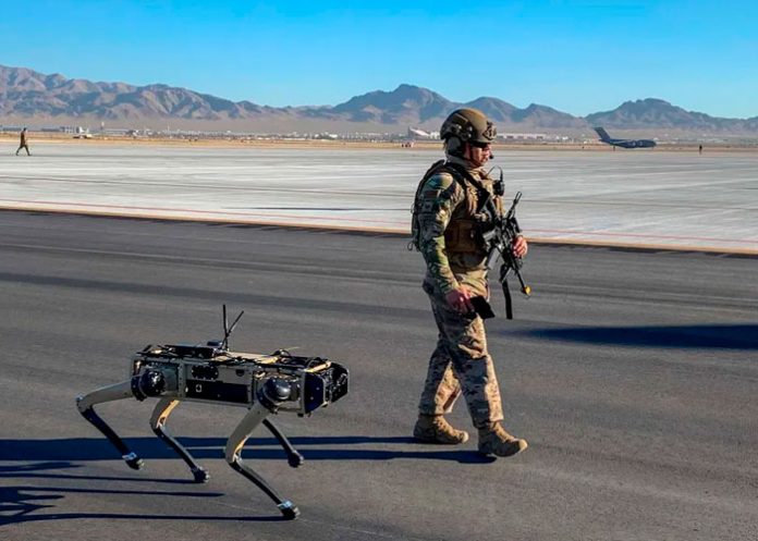 Lo nuevo en la frontera con México: 