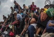 374 migrantes son hallados en un tráiler en el sur de México 374 migrantes son hallados en un tráiler en el sur de México