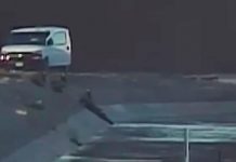 Rescatan a migrantes a punto de ahogarse en canal de Yuma, Arizona