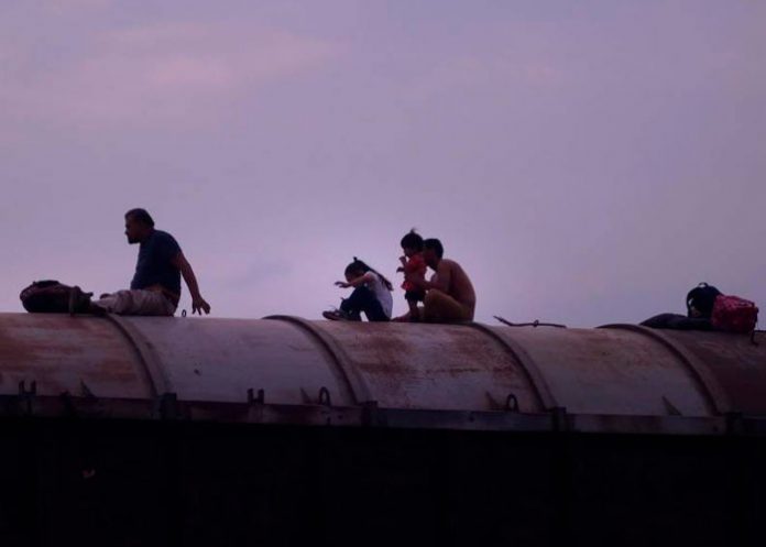 Casi mueren congelados 13 migrantes por lograr el 'sueño americano