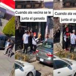Viral: Mujer sufre una pesadilla al encontrarse con sus cuatro novios Viral: Mujer sufre una pesadilla al encontrarse con sus cuatro novios