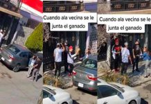 Viral: Mujer sufre una pesadilla al encontrarse con sus cuatro novios Viral: Mujer sufre una pesadilla al encontrarse con sus cuatro novios