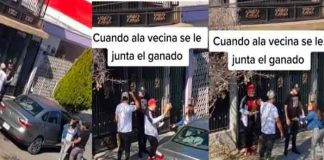 Viral: Mujer sufre una pesadilla al encontrarse con sus cuatro novios