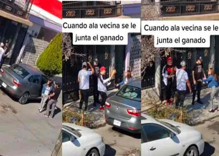 Viral: Mujer sufre una pesadilla al encontrarse con sus cuatro novios