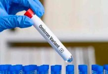 Más del 95% de casos de Covid en Brasil responden a la Ómicron Más del 95% de casos de Covid en Brasil responden a la Ómicron