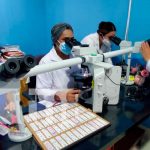 Nicaragua organizó una jornada de diagnósticos de biopsias quirúrgicas