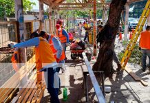 Alcaldía de Managua inicia rehabilitación de paradas de buses Remodelación en paradas de buses en Managua