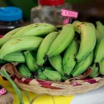 Exportaciones de plátanos en Nicaragua alcanzaron los USD 55 millones en 2021 Cultivo de plátanos en Nicaragua