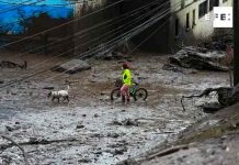 Cifra de fallecidos por aluvión en Quito, Ecuador se eleva a 22 Aluvión en Quito , Ecuador