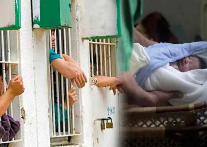 Reo contrabandeó su semen