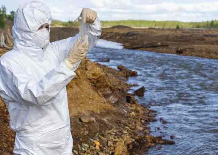 Un estudio sugiere una 