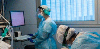En Reino Unido paciente muere de fiebre de Lassa, virus similar al Ébola