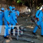 Jornada de fumigación del MINSA en barrios de Managua